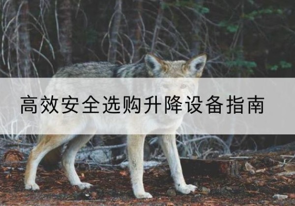 嵊泗升降货梯厂家推荐-*安全选购升降设备指南