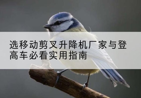 嵊泗电动升降机厂家-选移动剪叉升降机厂家与登高车必看实用指南